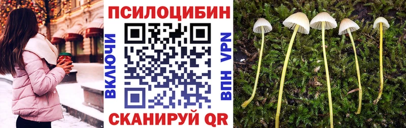 Галлюциногенные грибы Psilocybine cubensis  купить  сайты  Луга 