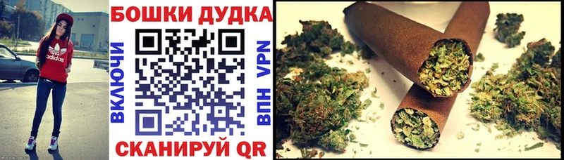 Бошки марихуана семена  магазин  наркотиков  MEGA маркетплейс  Луга 